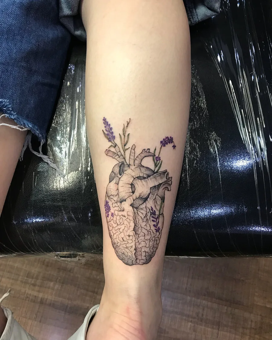 Coração anatômico com flores de lavanda na panturrilha